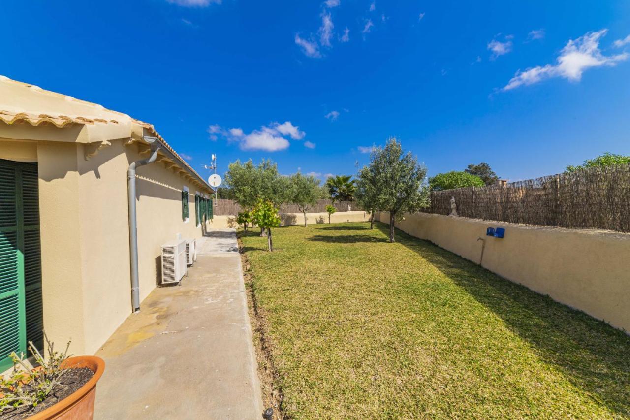 Villa Ambient / Sa Finqueta Muro Dış mekan fotoğraf